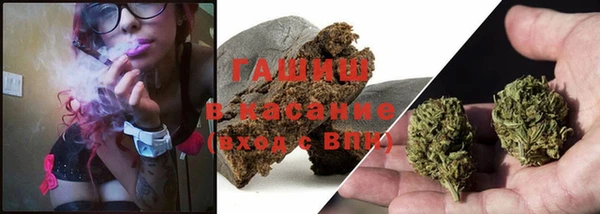 спиды Богданович