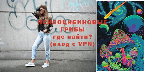 спиды Богданович