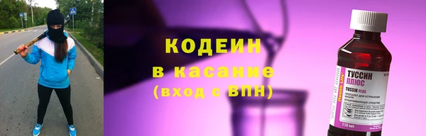 спиды Богданович
