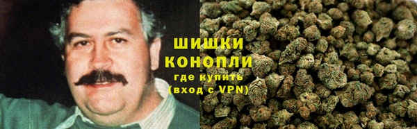 спиды Богданович