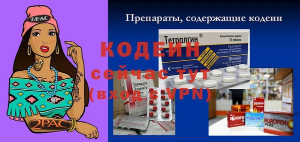 спиды Богданович
