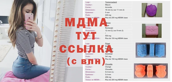 спиды Богданович