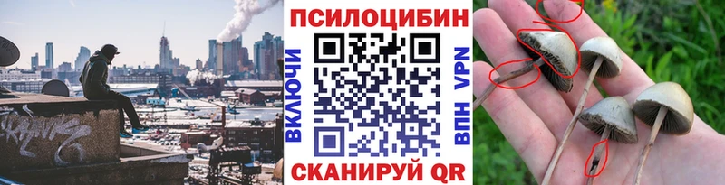 Галлюциногенные грибы Psilocybe  Химки 